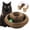 2 Pack, variant on Accordion Magic Organ Cat Scratcher Toys for Indoor Cats - Cardboard Cat Scratching Board Ball Scratcher Pad 1 Pack