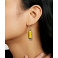 thumbnail image 5 of WIRESTER 1 Pair/Set Animal Black Bombay Kitten Cat Stainless Steel + Glass Rectangle Drop Earring Fashion Jewelry Drop Dangle Hook Earrings for Women, 5 of 6