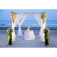 thumbnail image 2 of ABPHOTO 7x5t Photography Backdrop Seaside Sand Beach White Curtain Fresh Flowers Table Nature Romantic Princess Photo Background Backdrops, 2 of 4