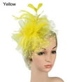 thumbnail image 3 of Elegant Tea Party Fascinator Hat for Women - Feather Mesh Net Veil with Feather Trim - Perfect for Weddings, Halloween Parties, and Special Occasions, 3 of 5