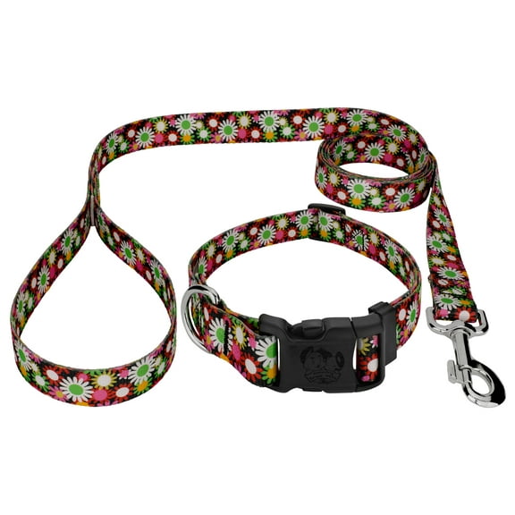 Country Brook Petz® Daisy Fields Deluxe Dog Collar and Leash, Small