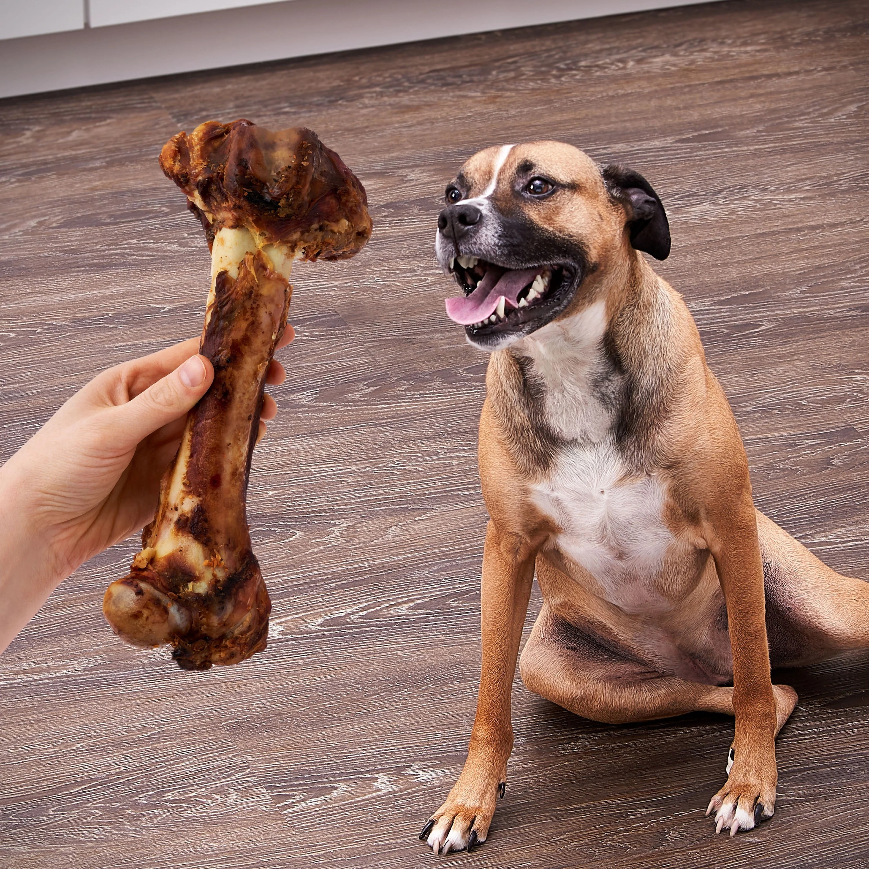 (3 pack) Ol' Roy Natural Jumbo Pork Femur Chew for Dogs, 14.38 oz, 1 Count