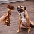 thumbnail image 2 of Ol' Roy Natural Jumbo Pork Femur Chew for Dogs, 14.38 oz, 1 Count, 2 of 9
