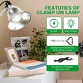thumbnail image 5 of Simple Deluxe 4-Pack Clamp Lamp Light with 5.5'' Aluminum Reflector, 60 Watt E26 (No Bulb Included), 6 Feet 18/2 SPT-2 Cord, for Reptiles Plants Growing, 5 of 7