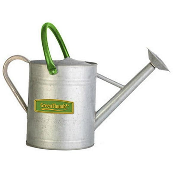 OpenSkies Vintage Galvanized Watering Can 2 gal Green with Mottled Gray Hues and Angled Spout