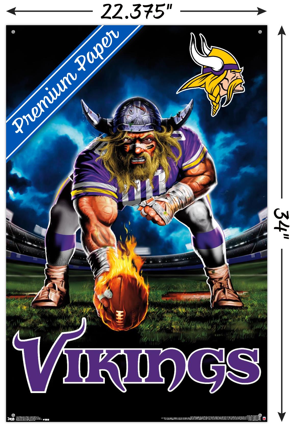 NFL Minnesota Vikings - 3 Point Stance 19 Wall Poster with Push Pins, 22.375" x 34"