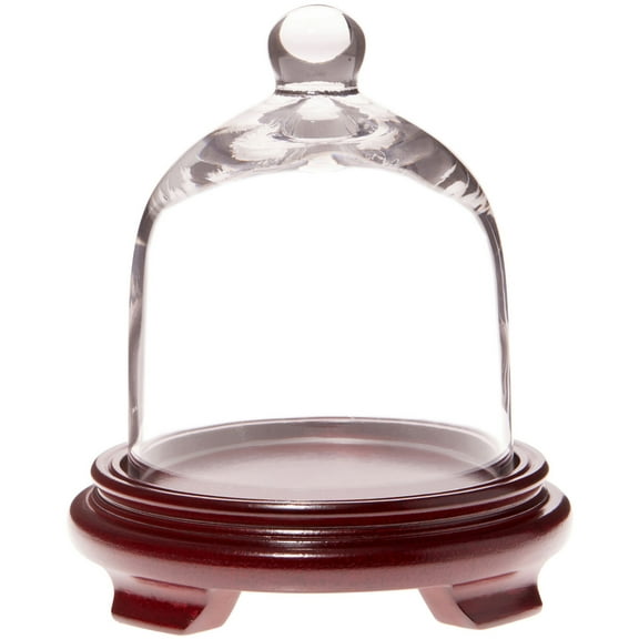 Plymor 5" x 6" Bell Jar Glass Display Dome Cloche, Red Wood Veneer Footed Base (Interior size 4.75" x 4.5")