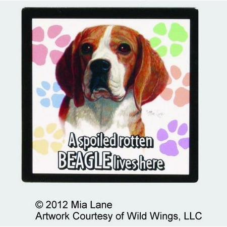 

A spoiled rotten Beagle lives here Magnet