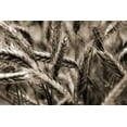 thumbnail image 2 of Steger, Uwe 32x23 Gold Ornate Wood Framed with Double Matting Museum Art Print Titled - Sommertraum I, 2 of 4