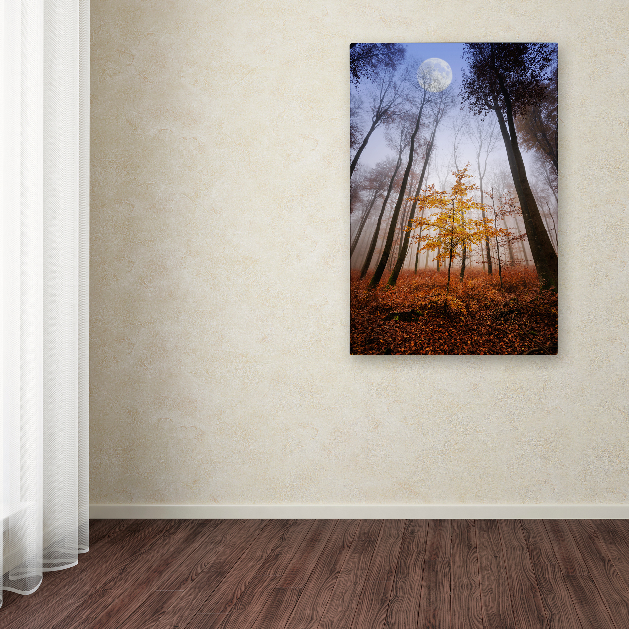Philippe Sainte-Laudy 'Sentinel' Canvas Art