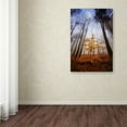 thumbnail image 3 of Philippe Sainte-Laudy 'Sentinel' Canvas Art, 3 of 4