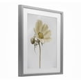 thumbnail image 3 of Stupell Industries Simple Beauty Soft Flower Gray Framed Print Under Glass, design by Lori Deiter, 3 of 9