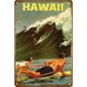 thumbnail image 1 of Persona en publicidad Metal Tin Painting Signs Cave Plates Bar Pub Wall Poster Tmvgtek Para estrenar, 1 of 9