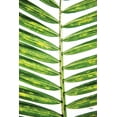 thumbnail image 2 of Quillen, Donnie 13x18 White Modern Wood Framed Museum Art Print Titled - Leaf Study II, 2 of 4
