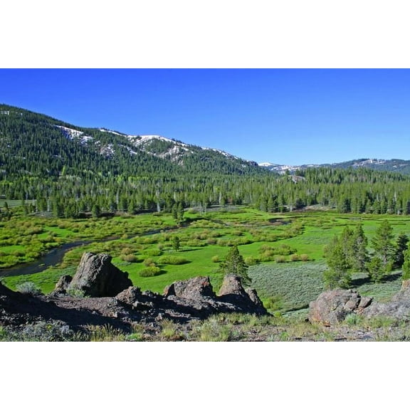 Hogan Mountain VII Wall Decal