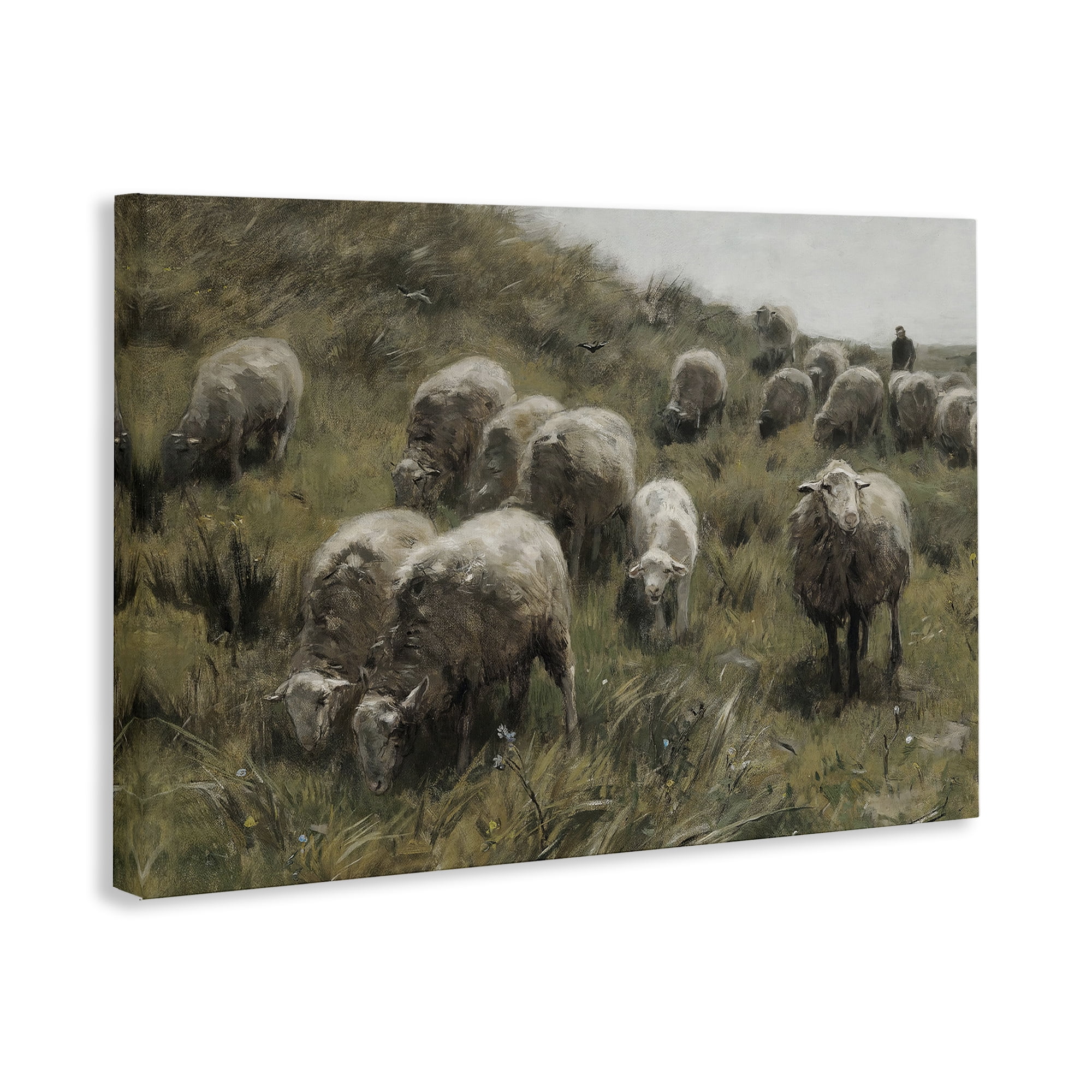 Stupell Industries Sheep At Pasture Landscape Painting Gallery Wrapped Canvas Art Print Wall Art, 24 x 16