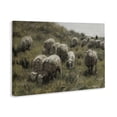 thumbnail image 4 of Stupell Industries Sheep At Pasture Landscape Painting Gallery Wrapped Canvas Art Print Wall Art, 24 x 16, 4 of 8