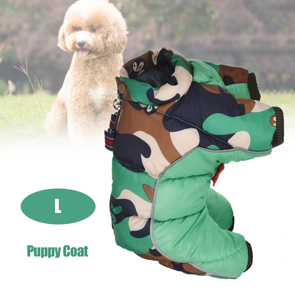 standard poodle clothes