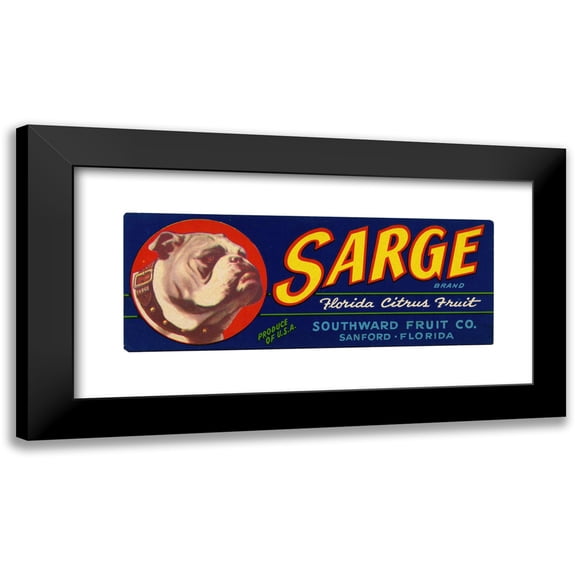 Anonymous 14x8 Black Modern Framed Museum Art Print Titled - Sarge Brand Florida Citrus Fruit Label (1930-1950)