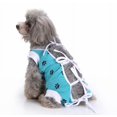 thumbnail image 3 of Ropa para mascotas Ropa para perros Ropa de cirugía de esterilización Ropa de rehabilitación para perros Ropa protectora para lesiones de perros y mascotas (Azul L) oso de fresa Electrónica, 3 of 5