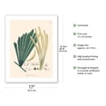 thumbnail image 2 of Copa Palm Tree (Iriartea deltoidea) - Vintage Botanical Illustration by Carl Friedrich Philipp von Martius c.1820s - Bamboo Fine Art 290gsm Paper (Unframed) 17x22in, 2 of 4