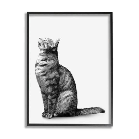 Stupell Industries Manx Cat Sitting Calmly Detailed Casual Portrait Graphic Art Black Framed Art Print Wall Art, Design by Ziwei Li