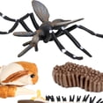 thumbnail image 4 of Juego de Crecimiento de Insectos para Niños Sunnimix 4 Piezas, 4 of 6