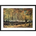 thumbnail image 2 of Art.com Lane with Poplars Art Print by Vincent van Gogh, Black Frame Wall Art, 29" x 21", 2 of 5