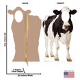 thumbnail image 4 of Advanced Graphics 2300 60 x 36 in. Cow Standin Cardboard Standup, 4 of 5