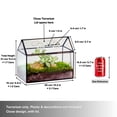 thumbnail image 3 of NCYP Glass Terrarium with Lid, Ventilation Holes for Indoor Plants, Succulents, Cactus, House-Shaped Clear Box, Terrarium Only, 3 of 10