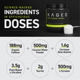 thumbnail image 3 of Kaged Muscle, Pré-KAGED Sport, Formule de Performance Pré-Entraînement, Mangue Lime, 9.38 oz (266 g), 3 of 8