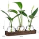 thumbnail image 2 of Estaciones de Propagación Plantas Estación Jarrón Vidrio Terrario Retro con Bandeja Madera Florero Bulbo Decoración Oficina en el Hogar, 2 of 5