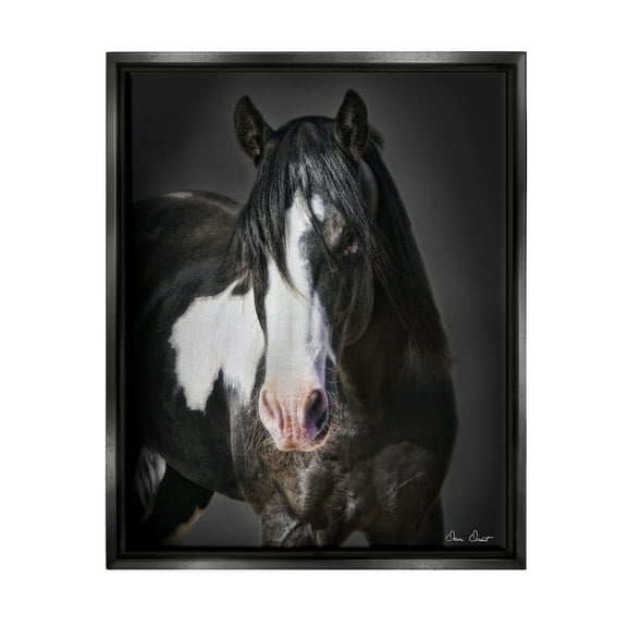 Stupell Industries Black & White Horse Animals & Insects Photography Black Floater Framed Canvas Art Print Wall Art, 17 x 21