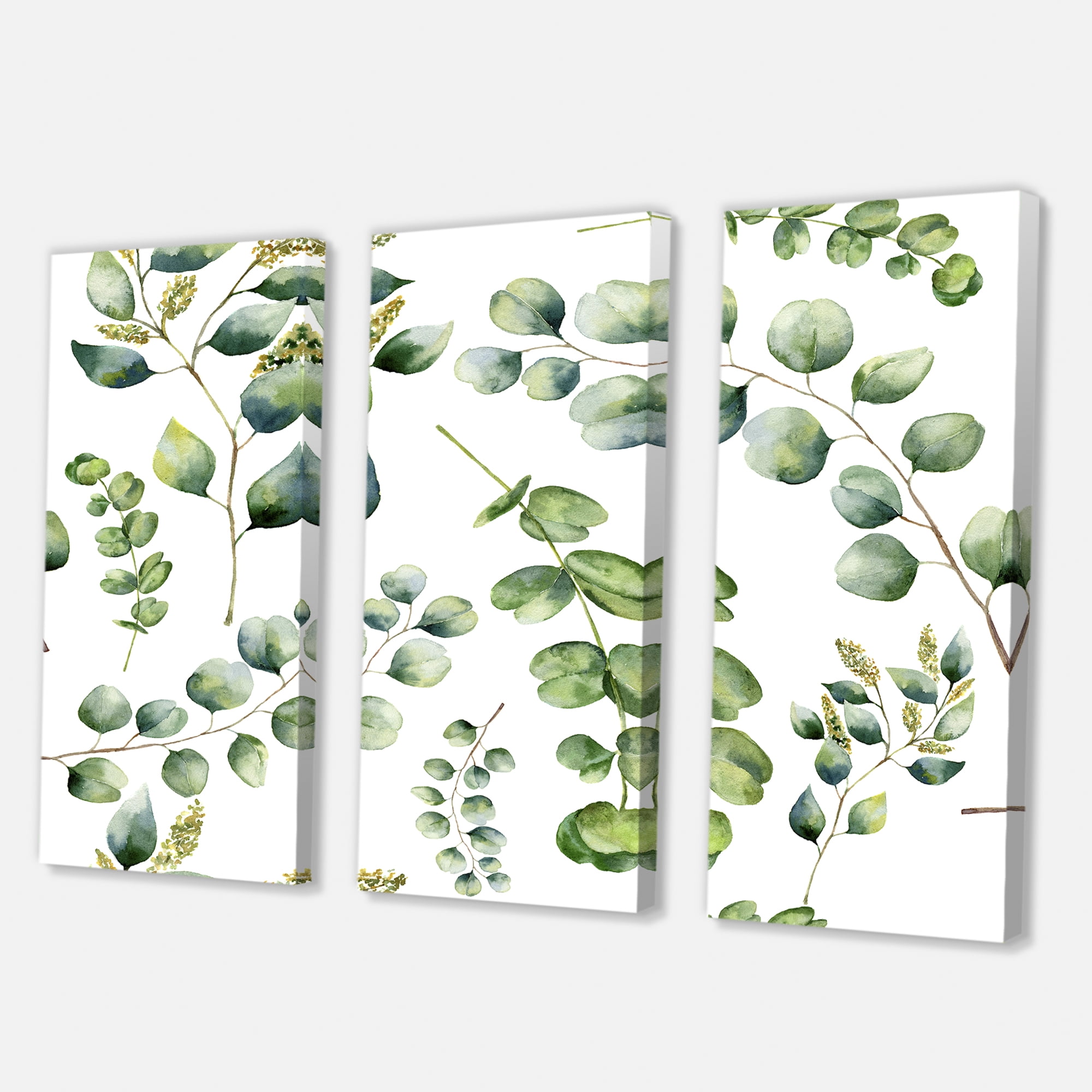 Designart ' Green Eucalyptus Plant Branches III ' Traditional Canvas Wall Art Print