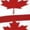 2 Black-1, variant on Women's Knee High Socks Canadian Flag Pattern Outdoor Casual Tube Socks