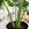 thumbnail image 4 of Iron Plants Support Stakes, 6.29"x5.51" Heavy Duty Garden Trellis for Climbing Plants, Monstera Stabilizer, Pothos Holder, Rust-Resistant Metal, 4 of 6