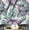 Purple (Plain Vinyl), variant on S4Sassy Monstera Leaf Wallpaper - Green Wall Covering, 25" X 360" Self-Adhesive Vinyl Walls Paper, Decorative Wallwrap, Easy Diy Walls Covering For Bedroom, Living Room, Living Space