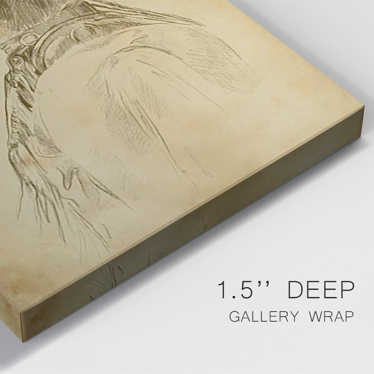 Dorset Shapes IV Premium Gallery Wrapped Canvas - Ready to Hang
