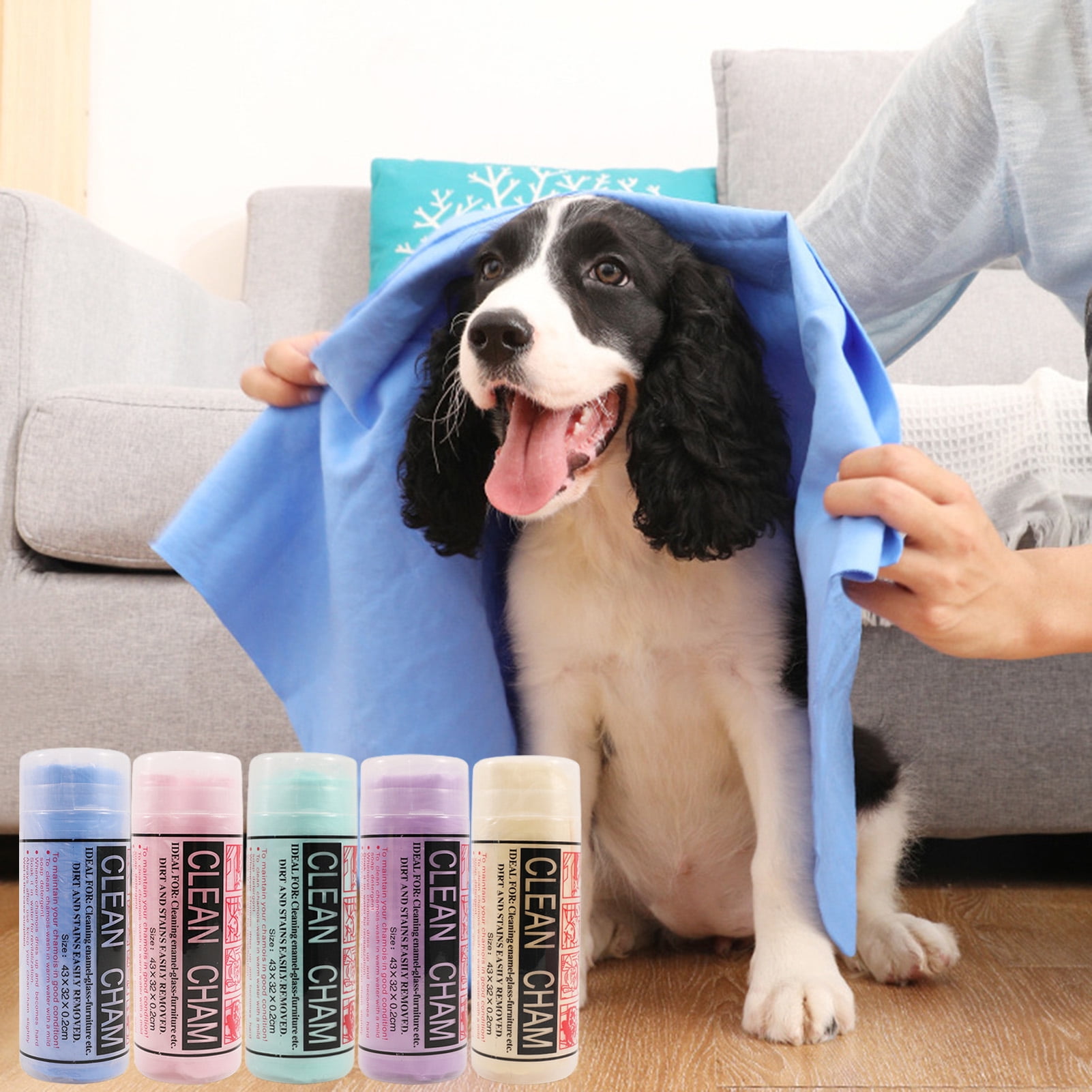 Do Dogs Like Cold Baths