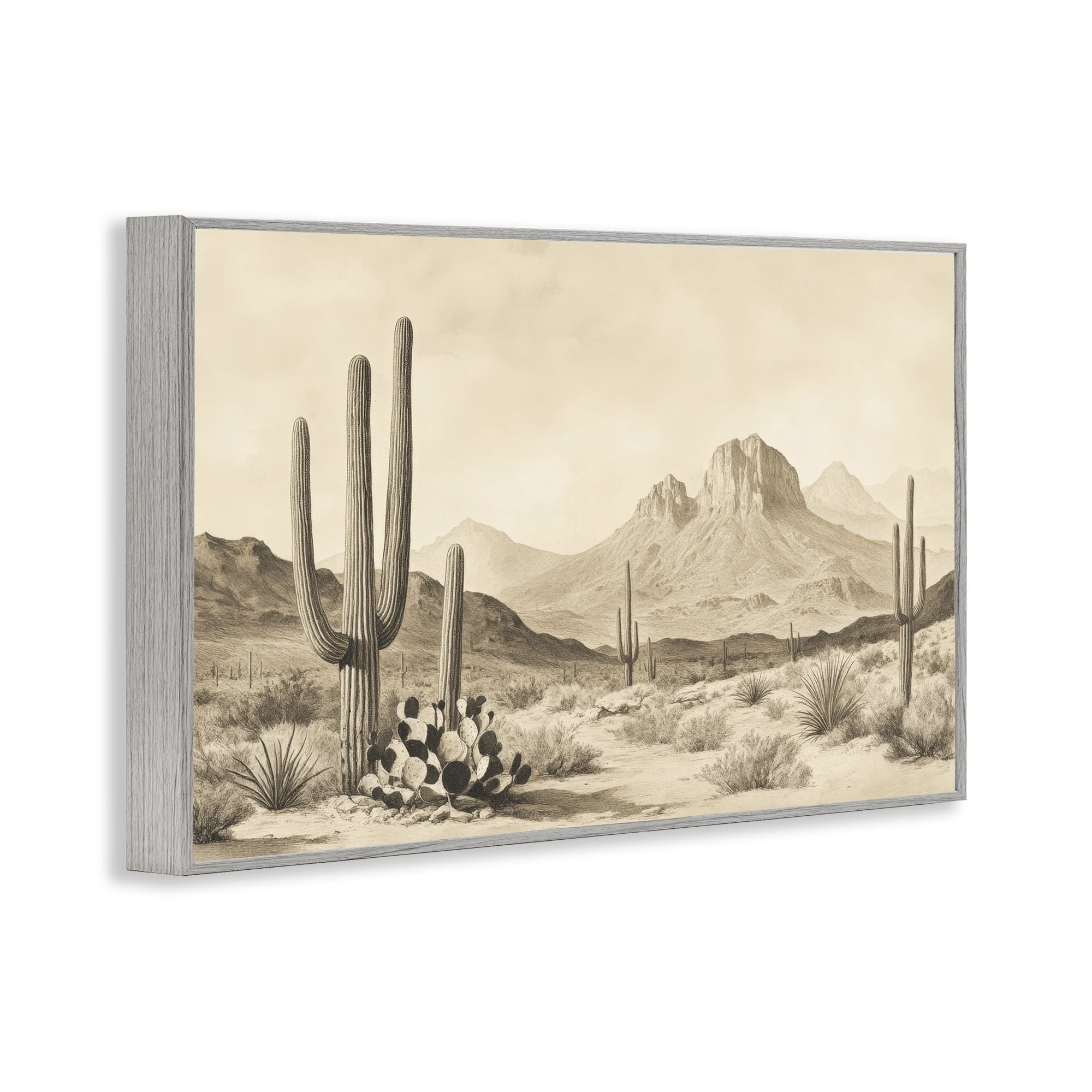 Stupell Industries Arizona Desert Vista Gray Framed Giclee Art, design by Petal Prints Design