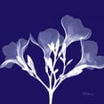 thumbnail image 3 of Koetsier, Albert 15x15 Black Modern Framed Museum Art Print Titled - Crocuss White on Purple, 3 of 5