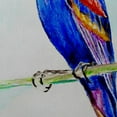 thumbnail image 2 of Betsy Drake SN825 11 x 14 in. Blue Grosebeak Small Pillow, 2 of 3