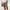 Army Green, variant on Njoeus Men's Linen Shorts, Casual Cotton Elastic Waist Shorts for Men Lightweight Summer Beach Short Pants with Pockets and Drawstring S-5XL (Available in Big & Tall Size)