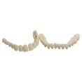 thumbnail image 2 of Modelo de prótesis dental artificial de plástico de doble hilera, material didáctico oral, 2 of 5