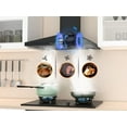 thumbnail image 6 of FIREGAS 30 in Convertible Wall Mount Range Hood in Stainless Steel, 6 of 20