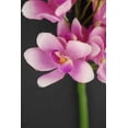 thumbnail image 3 of Mini Cymbidium Spray 41in.  Artificial Mini Cymbidium Spraytop 13in. Flowered With 2in. Blossoms Made From Shimmering Poly Silks, 3 of 4