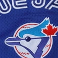 thumbnail image 4 of Men's Mitchell & Ness Joe Carter Royal Toronto Blue Jays Authentic Batting Practice Jersey, 4 of 7