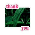 thumbnail image 1 of Nature Photography Thank You Stickers Quote Grateful, 1 of 3