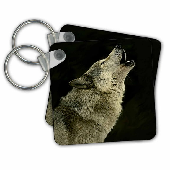 3dRose, Timber Wolf, set of 2 Key Chains