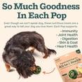 thumbnail image 4 of Recarga Pops para juguete para cachorros WOOF Pupsicle All-in-1 Health, 4 of 7